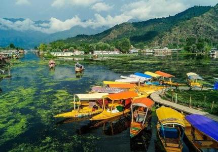 Kashmir