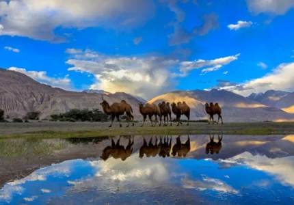 Mystic Trails of Nubra Valley: The Sky Desert Ride