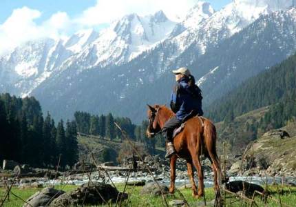 Dreamy Srinagar Escape: 5 Days of Peace & Beauty