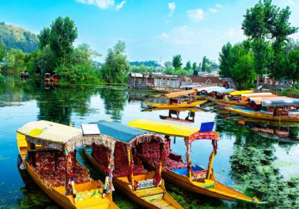 The Meadow Trail: Chandigarh to Sonmarg Escape