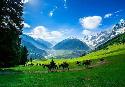 Dreamy Srinagar Escape: 5 Days of Peace & Beauty
